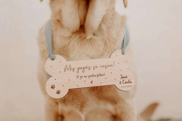 Cartel mascota - Hueso - Lletres de Vida