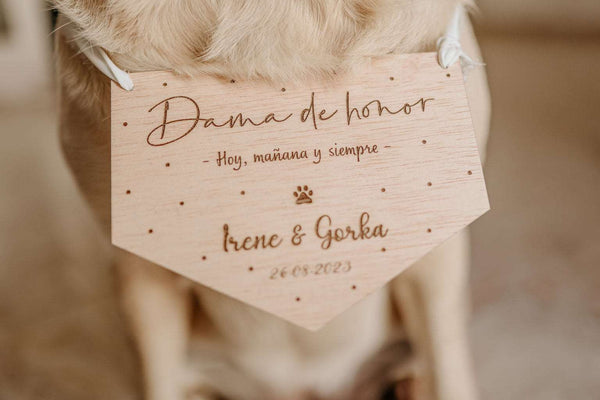 Cartel mascota - Banderola - Lletres de Vida