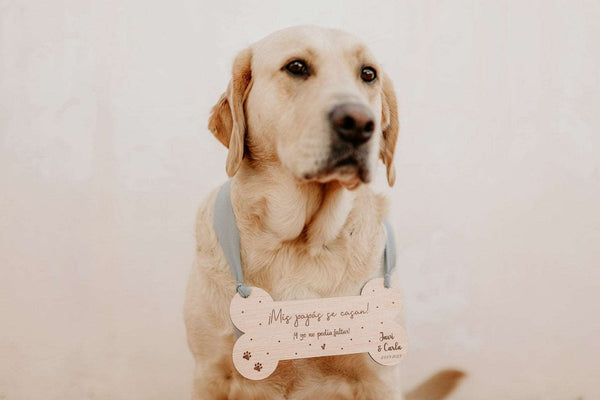 Cartel mascota - Hueso - Lletres de Vida